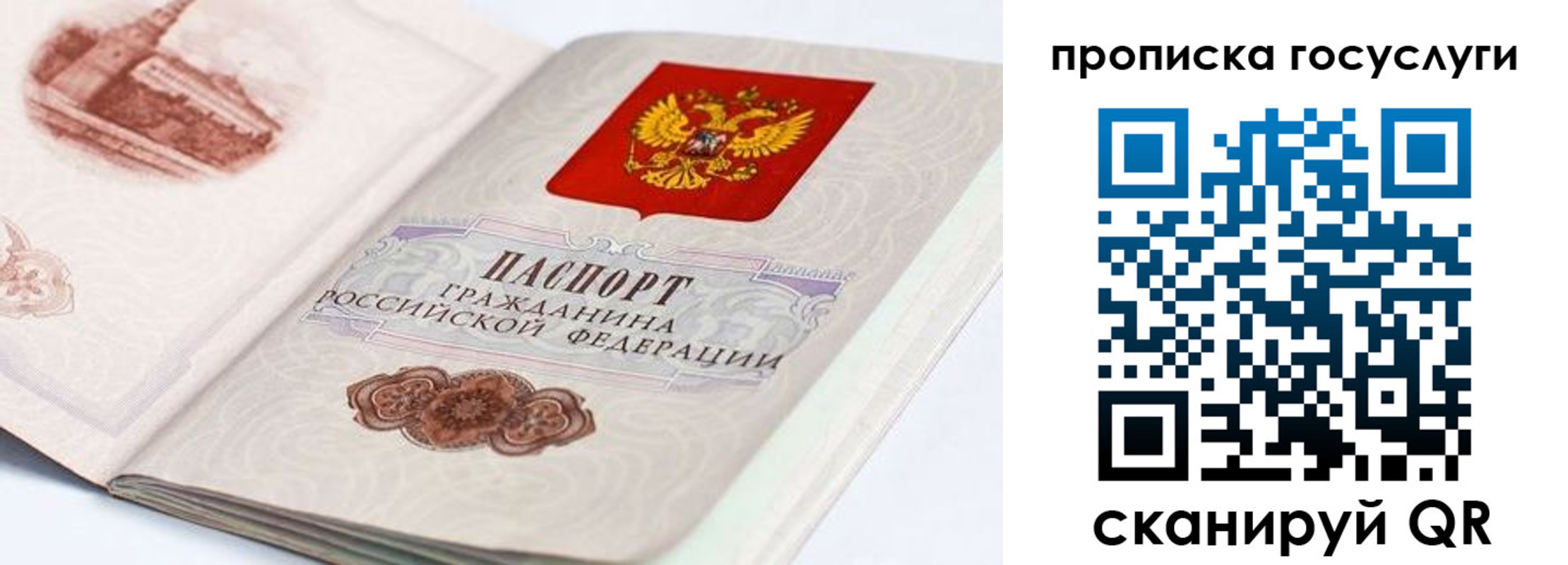 прописка гарантия в Чудово